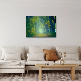 Fákkal szegélyezett út képe (70x50 cm)