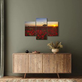 Pipacsos rét képe (90x60 cm)