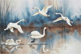 Flizelin tapéta Flizelin Fali Prémium Madarak repülés közben 104x70 Ragasztó