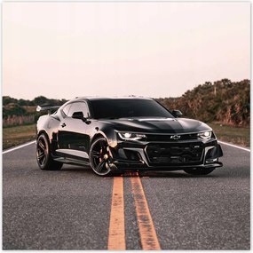 Poszterek 100x100 Autóipari autók