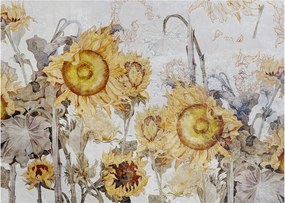 Kép - Napraforgó a falban (70x50 cm)