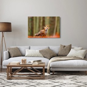 Kép - Róka (90x60 cm)