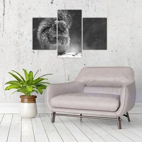 Kép - Mókus télen (90x60 cm)