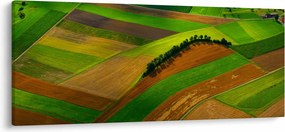 Kép - Mezők, rétek (120x50 cm)