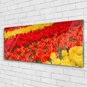 Akrilkép tulipán virágok 100x50 cm