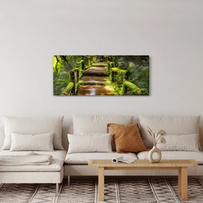 Lépcső az esőerdőben képe (120x50 cm)