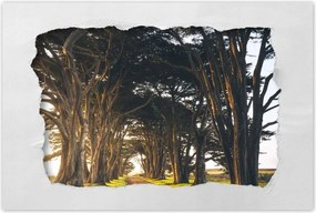 Poszterek 90x60 Tájkép Látvány