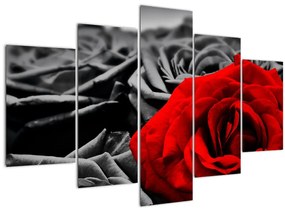 Kép - Rózsa virágok (150x105 cm)