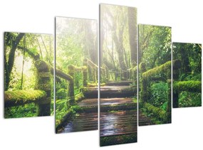 Kép - falépcsők az erdőben (150x105 cm)
