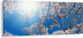 Kép - Cseresznyevirág (120x50 cm)