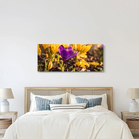 Lila virágok képe (120x50 cm)