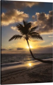 Vászonkép Natura Palma a nyugat között 50x80