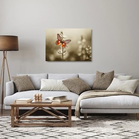 Pillangó képe (üvegen) (70x50 cm)