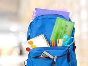 Irattartó tasak, DL, patentos, RAPESCO Eco GRS Recycled, áttetsző vegyes színek (IR1844)