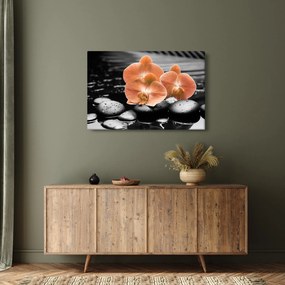 Kép - Narancssárga orchideák (90x60 cm)