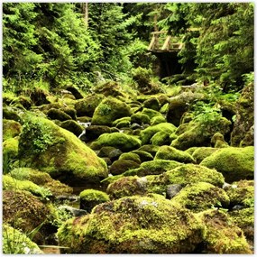 Poszterek 70x70 Tátra Lengyel hegyek Kilátás