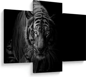 Egy vadtigris képe (90x60 cm)