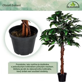 PLANTASIA Műnövény mangófa 120 cm
