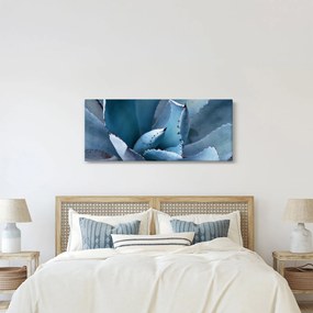 Kép - Agave (120x50 cm)
