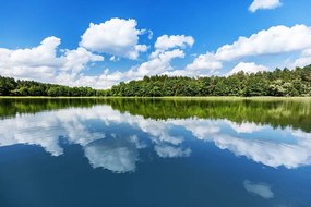 Öntapadó fotótapéta nyári természet