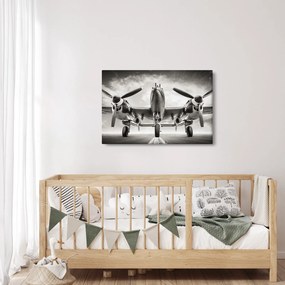 Kép - Warbird (90x60 cm)