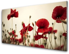 Üvegkép falra Pipacsok virágok 120x60cm