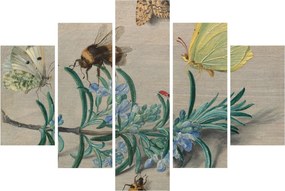 Kép - Jan van Kessel the Elder, Insects and a Sprig of Rosemary, reprodukciók (150x105 cm)
