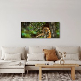 Pihenő tigris képe (120x50 cm)