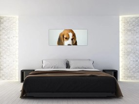 Beagle képe (120x50 cm)