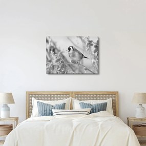 Kép - Egy madár télen (70x50 cm)