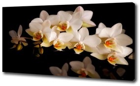 Egyedi vászonkép Orchidea oc-95410450