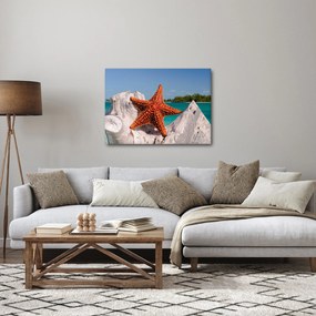 Egy tengeri csillag képe (70x50 cm)