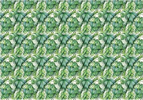 Fotótapéta Pálmalevelek és szörnyek trópusi zöld 368x254 +ragasztó