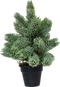 Mini műfenyő cserépben 22 cm Kicsit havas