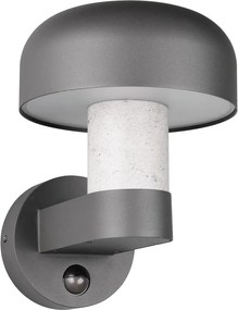 Fali kültéri lámpa (magasság 24,5 cm) Fraser – Trio