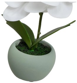 Műnövény szett 3 db-os (magasság 15 cm) Orchid – Casa Selección