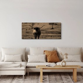 Kép - Texasi tehén (120x50 cm)