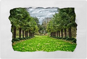 Poszterek 90x60 Tájkép