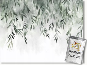 Fotótapéta Flizelina Természet Növények Kúszónövények Levelek Borostyán 250x175 ragasztó