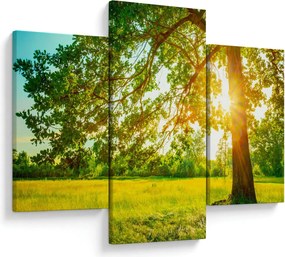 Kép - Sunny Forest (90x60 cm)