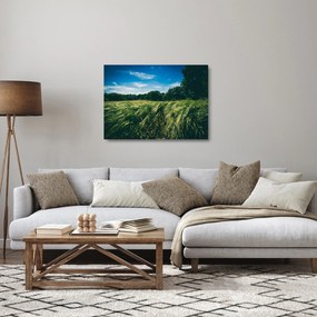 Rét és az erdő képe (üvegen) (70x50 cm)