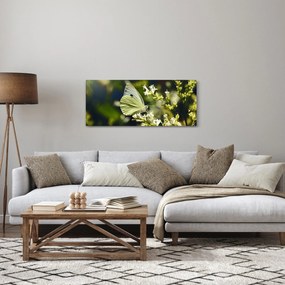 Pillangó képe (120x50 cm)