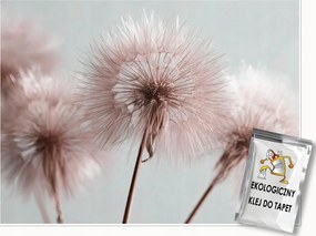 Fotótapéta Pitypang Boho Természet Rózsaszín Falra Hálószoba Nappali 300x210