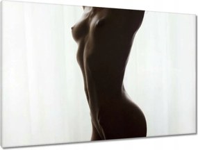 Vászonkép 90x60 Aktok Meztelenség Szerelem Fotó