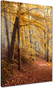 Vászonkép 70x100 Tájkép Látvány