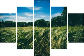 Rét és az erdő képe (150x105 cm)