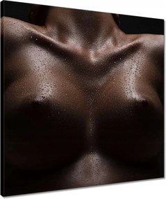 Vászonkép 50x50 Feszes mellek Akt