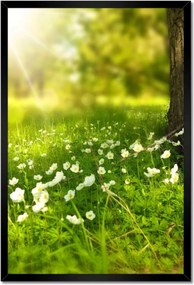 Poszterek keretben 40x60 Sugár a réten