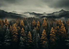 Poszter 70x50cm Ködös reggel