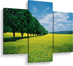 A mező képe egy sikátorral (90x60 cm)